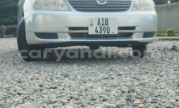 Acheter Occasion Voiture Toyota Corolla Gris à Chilanga, Lusaka Acheter Occasion Voiture Toyota Corolla Gris à Chilanga, Lusaka