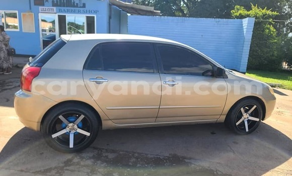 Acheter Occasion Voiture Toyota Runx Marron à Chilanga, Lusaka Acheter Occasion Voiture Toyota Runx Marron à Chilanga, Lusaka