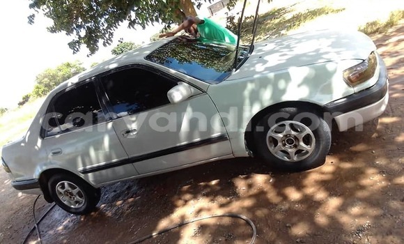 Buy Used Toyota Corolla White Car in Kapiri Mposhi in Central