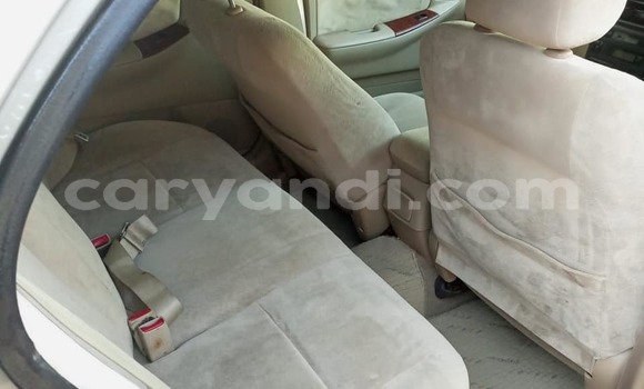 Acheter Occasion Voiture Toyota Corolla Gris à Chingola, Zambie Acheter Occasion Voiture Toyota Corolla Gris à Chingola, Zambie