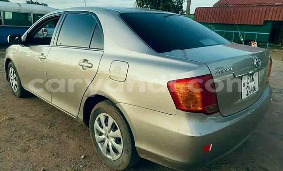 Acheter Occasion Voiture Toyota Axio Gris à Ndola, Zambie Acheter Occasion Voiture Toyota Axio Gris à Ndola, Zambie