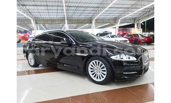 Buy Import Jaguar XJ Black Car in Import - Dubai in Zambia
