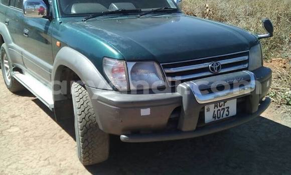 Tenga Tsaru Toyota 4Runner Mota in Luanshya in Zambia Tenga Tsaru Toyota 4Runner Mota in Luanshya in Zambia