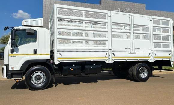 Buy Used Isuzu FTR 850 White Truck in Lusaka in Zambia Buy Used Isuzu FTR 850 White Truck in Lusaka in Zambia