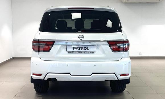 Buy Used Nissan Patrol White Car in Lusaka in Zambia Buy Used Nissan Patrol White Car in Lusaka in Zambia