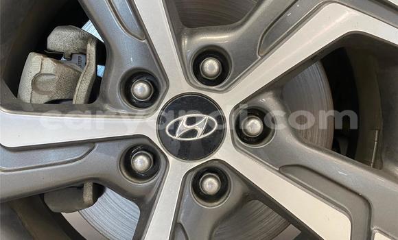 Tenga Tsaru Hyundai Creta Sirivha Mota in Lusaka in Zambia Tenga Tsaru Hyundai Creta Sirivha Mota in Lusaka in Zambia