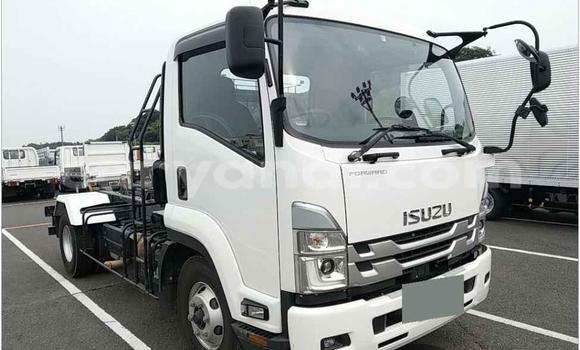 Buy Used Isuzu FTR 850 White Truck in Lusaka in Zambia Buy Used Isuzu FTR 850 White Truck in Lusaka in Zambia