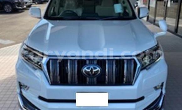 Buy Used Toyota Land Cruiser Prado White Car in Lusaka in Zambia