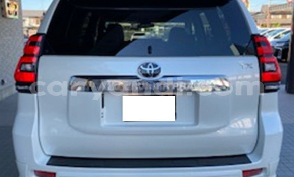 Buy Used Toyota Land Cruiser Prado White Car in Lusaka in Zambia Buy Used Toyota Land Cruiser Prado White Car in Lusaka in Zambia