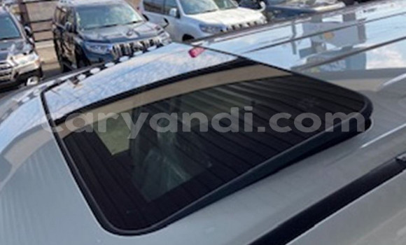 Buy Used Toyota Land Cruiser Prado White Car in Lusaka in Zambia Buy Used Toyota Land Cruiser Prado White Car in Lusaka in Zambia