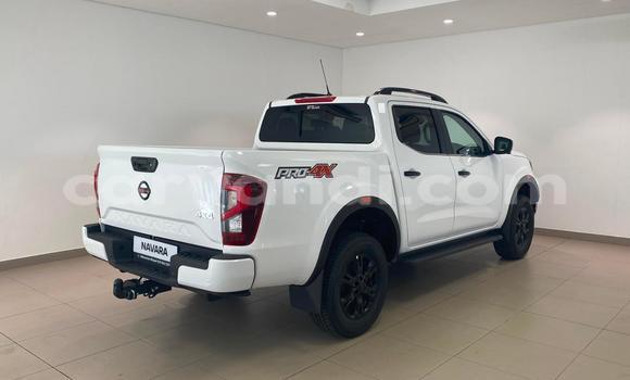 Tenga Tsaru Nissan Navara Chena Mota in Lusaka in Zambia Tenga Tsaru Nissan Navara Chena Mota in Lusaka in Zambia