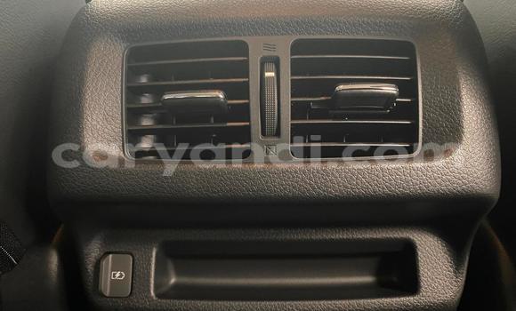 Tenga Tsaru Nissan Navara Chena Mota in Lusaka in Zambia Tenga Tsaru Nissan Navara Chena Mota in Lusaka in Zambia