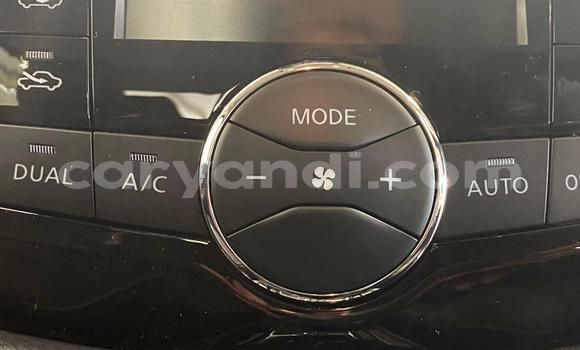 Tenga Tsaru Nissan Navara Chena Mota in Lusaka in Zambia Tenga Tsaru Nissan Navara Chena Mota in Lusaka in Zambia