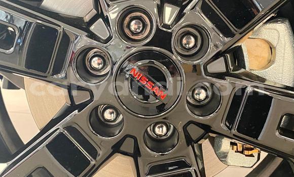 Tenga Tsaru Nissan Navara Chena Mota in Lusaka in Zambia Tenga Tsaru Nissan Navara Chena Mota in Lusaka in Zambia