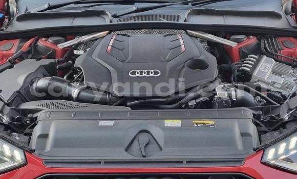 Buy Used Audi S4 Red Car in Lusaka in Zambia Buy Used Audi S4 Red Car in Lusaka in Zambia