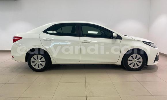 Buy Used Toyota Corolla White Car in Chipata in Zambia Buy Used Toyota Corolla White Car in Chipata in Zambia