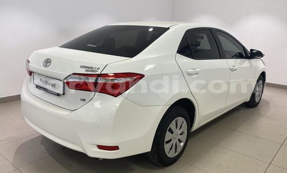 Buy Used Toyota Corolla White Car in Chipata in Zambia Buy Used Toyota Corolla White Car in Chipata in Zambia