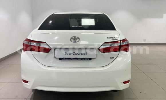 Buy Used Toyota Corolla White Car in Chipata in Zambia Buy Used Toyota Corolla White Car in Chipata in Zambia