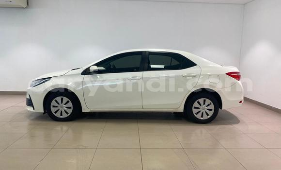 Buy Used Toyota Corolla White Car in Chipata in Zambia Buy Used Toyota Corolla White Car in Chipata in Zambia