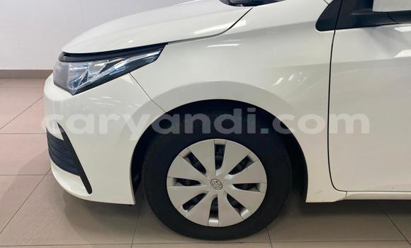Buy Used Toyota Corolla White Car in Chipata in Zambia Buy Used Toyota Corolla White Car in Chipata in Zambia