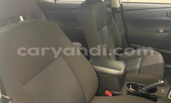 Buy Used Toyota Corolla White Car in Chipata in Zambia Buy Used Toyota Corolla White Car in Chipata in Zambia