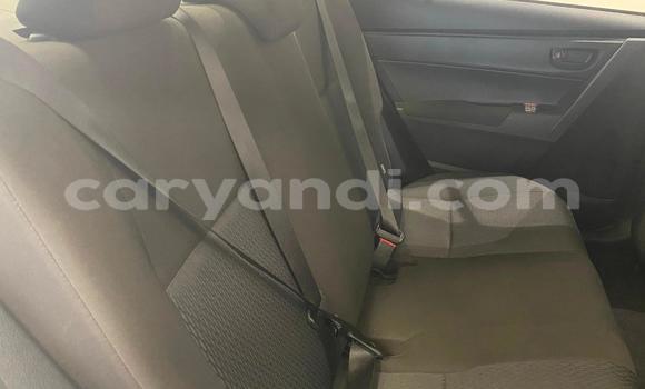 Buy Used Toyota Corolla White Car in Chipata in Zambia Buy Used Toyota Corolla White Car in Chipata in Zambia