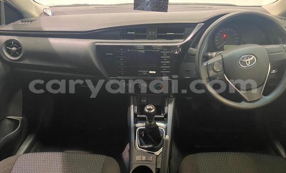 Buy Used Toyota Corolla White Car in Chipata in Zambia Buy Used Toyota Corolla White Car in Chipata in Zambia