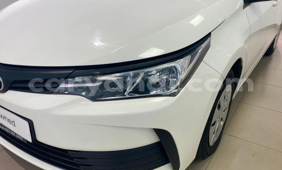 Buy Used Toyota Corolla White Car in Chipata in Zambia Buy Used Toyota Corolla White Car in Chipata in Zambia