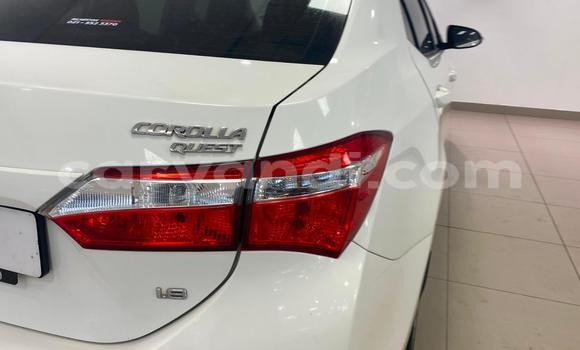 Buy Used Toyota Corolla White Car in Chipata in Zambia Buy Used Toyota Corolla White Car in Chipata in Zambia