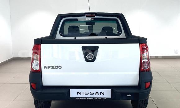 Buy Used Nissan NP 300 White Car in Kitwe in Zambia Buy Used Nissan NP 300 White Car in Kitwe in Zambia