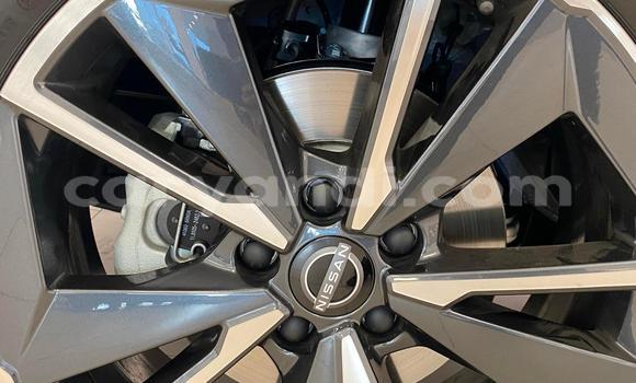 Buy Used Nissan Qashqai Blue Car in Lusaka in Zambia Buy Used Nissan Qashqai Blue Car in Lusaka in Zambia