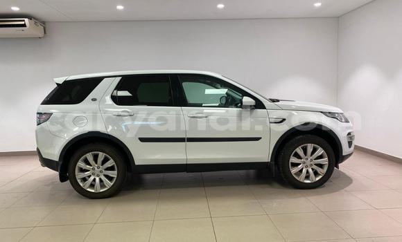 Tenga Tsaru Land Rover Discovery Sport Chena Mota in Lusaka in Zambia Tenga Tsaru Land Rover Discovery Sport Chena Mota in Lusaka in Zambia