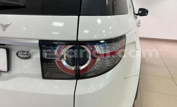 Tenga Tsaru Land Rover Discovery Sport Chena Mota in Lusaka in Zambia Tenga Tsaru Land Rover Discovery Sport Chena Mota in Lusaka in Zambia