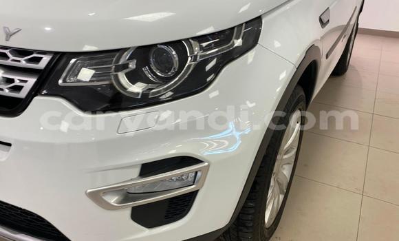 Tenga Tsaru Land Rover Discovery Sport Chena Mota in Lusaka in Zambia Tenga Tsaru Land Rover Discovery Sport Chena Mota in Lusaka in Zambia