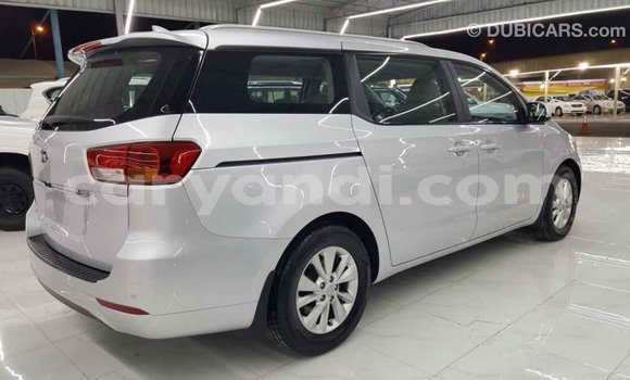 Buy Import Kia Carnival Other Car in Import - Dubai in Zambia Buy Import Kia Carnival Other Car in Import - Dubai in Zambia