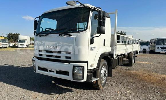 Buy Used Isuzu FTR 850 White Truck in Lusaka in Zambia Buy Used Isuzu FTR 850 White Truck in Lusaka in Zambia