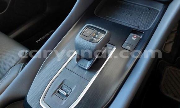 Tenga Tsaru Nissan Qashqai Bhuruu Mota in Lundazi in Eastern Tenga Tsaru Nissan Qashqai Bhuruu Mota in Lundazi in Eastern