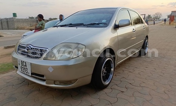 Acheter Occasion Voiture Toyota Corolla Autre à Lusaka, Zambie Acheter Occasion Voiture Toyota Corolla Autre à Lusaka, Zambie