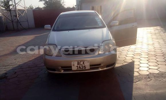 Buy Used Toyota Allex White Car in Lusaka in Zambia
