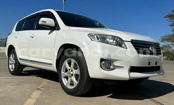 Buy Used Toyota Vanguard White Car in Lusaka in Zambia