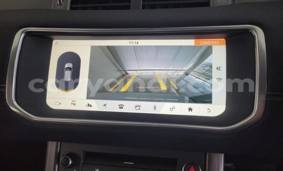 Tenga Tsaru Land Rover Range Rover Evoque Chena Mota in Lusaka in Zambia Tenga Tsaru Land Rover Range Rover Evoque Chena Mota in Lusaka in Zambia