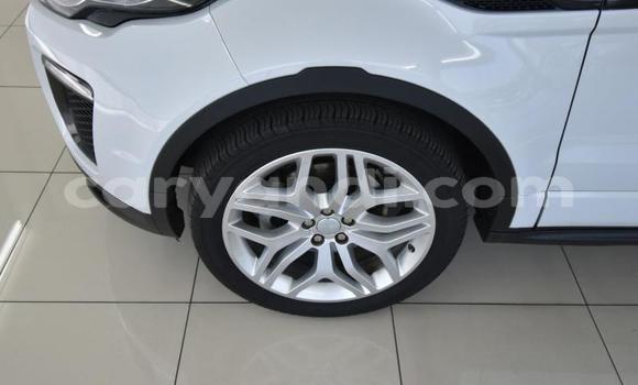 Tenga Tsaru Land Rover Range Rover Evoque Chena Mota in Lusaka in Zambia Tenga Tsaru Land Rover Range Rover Evoque Chena Mota in Lusaka in Zambia