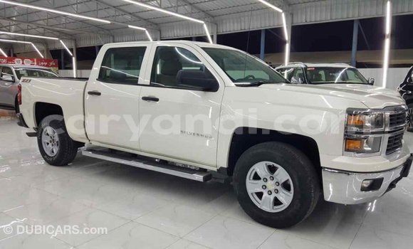 Buy Import Chevrolet Silverado White Car in Import - Dubai in Zambia Buy Import Chevrolet Silverado White Car in Import - Dubai in Zambia