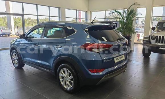 Tenga Tsaru Hyundai Tucson Bhuruu Mota in Lusaka in Zambia Tenga Tsaru Hyundai Tucson Bhuruu Mota in Lusaka in Zambia