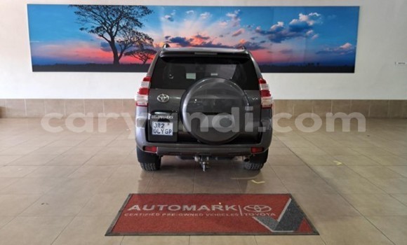 Tenga Tsaru Toyota Land Cruiser Prado Zvimwe Mota in Livingstone in Zambia Tenga Tsaru Toyota Land Cruiser Prado Zvimwe Mota in Livingstone in Zambia