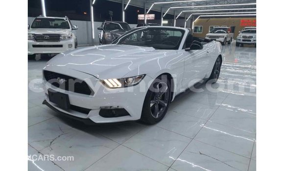 Buy Import Ford Mustang White Car in Import - Dubai in Zambia Buy Import Ford Mustang White Car in Import - Dubai in Zambia