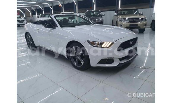 Buy Import Ford Mustang White Car in Import - Dubai in Zambia Buy Import Ford Mustang White Car in Import - Dubai in Zambia