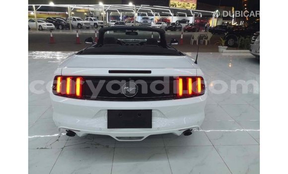 Buy Import Ford Mustang White Car in Import - Dubai in Zambia Buy Import Ford Mustang White Car in Import - Dubai in Zambia