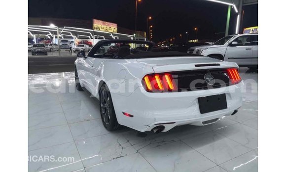Buy Import Ford Mustang White Car in Import - Dubai in Zambia Buy Import Ford Mustang White Car in Import - Dubai in Zambia