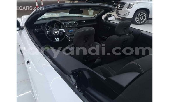 Buy Import Ford Mustang White Car in Import - Dubai in Zambia Buy Import Ford Mustang White Car in Import - Dubai in Zambia